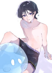  1boy absurdres alternate_costume arm_support arms_at_sides bare_shoulders black_hair black_shorts black_trim blunt_ends blush collarbone eyelashes genshin_impact gold_trim grin groin hair_between_eyes hair_intakes highres knee_up light_blush looking_at_viewer male_focus male_swimwear navel nero_hanken nipples purple_eyes purple_rope purple_trim rope scaramouche_(genshin_impact) shimenawa shorts sitting slime_(genshin_impact) smile solo sweat swim_trunks topless_male white_background white_rope wispy_bangs 