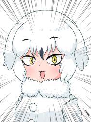  1girl :3 bird_girl bird_wings black_hair blush coat emphasis_lines fur_collar hair_between_eyes head_wings kemono_friends long_sleeves multicolored_hair open_mouth owl_girl photo-referenced sidelocks snowy_owl_(kemono_friends) solo tegran two-tone_hair upper_body white_coat white_fur white_hair wings winter_clothes winter_coat yellow_eyes 