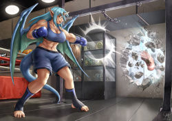 1girl abs armpits barefoot blue_eyes blue_hair blush boxing_gloves boxing_ring demon_girl demon_wings destruction dragon_girl dragon_wings female_focus gym horns long_hair matching_hair/eyes maxa&#039; muscular muscular_female navel original punching punching_bag shorts single_horn solo sweat tank_top toeless_legwear toes trophy wall wings rating:Sensitive score:12 user:danbooru