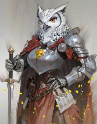  armor bird breastplate cape embers gauntlets highres holding holding_sword holding_weapon knight looking_at_viewer nonoka917 original owl pauldrons personification plate_armor shoulder_armor solo sword weapon 