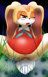 animal_ears anus bluelimelight brown_eyes rabbit rabbit_ears rabbit_tail cream cream_(sonic) cream_the_rabbit gloves highres night out_side pixiv_sample resized sega sonic_(series) sonic_(series) spread_legs tail rating:Explicit score:8 user:Luner_Child