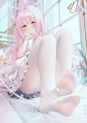 1girl blue_archive blush breasts chen_bin comiket_102 commentary_request cover dorsiflexion dress feet flower frills hair_bun hair_flower hair_ornament halo highres indoors knees_up legs long_hair looking_at_viewer medium_breasts mika_(blue_archive) no_shoes pantyhose parted_lips pink_hair plant single_side_bun sitting soles solo toes very_long_hair white_dress window wing_ornament wings yellow_eyes rating:Sensitive score:83 user:danbooru