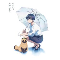  1girl ame_to_kimi_to anime_coloring black_hair black_skirt blue_eyes closed_mouth fuji_(amekimi) high_heels highres holding holding_umbrella key_visual kneeling leaf leaf_on_head long_sleeves looking_at_viewer medium_skirt mole mole_under_eye official_art promotional_art shade shirt short_hair simple_background skirt tanuki tanuki_(ame_to_kimi_to) translation_request transparent_background umbrella white_shirt 