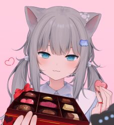  1girl :3 amashiro_natsuki animal_ears blue_eyes blue_shirt bow box box_of_chocolates cat_ears closed_mouth collared_shirt commentary_request dress_shirt eyebrows_hidden_by_hair grey_hair hair_ornament hands_up heart holding holding_box indie_virtual_youtuber looking_at_viewer low_twintails nachoneko pink_background red_bow shirt simple_background smile solo twintails upper_body virtual_youtuber 