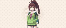  1girl belt black_belt black_choker black_shorts breasts brown_hair cape choker closed_mouth collarbone cowboy_shot fur-trimmed_cape fur_trim game_cg garter_straps green_cape green_eyes green_jacket hair_belt hair_between_eyes hands_in_pockets high_ponytail highres jacket kono_subarashii_sekai_ni_shukufuku_wo! konosuba!_fantastic_days lean_(konosuba) light_blush long_hair looking_at_viewer medium_breasts official_art partially_unzipped patterned_background pink_shirt ponytail raccoon_tail shirt short_shorts shorts sidelocks smile smiley_face solo standing striped_clothes striped_shirt tachi-e tail 