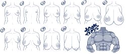  1boy abs amazon_(taitaitaira) breasts breasts_apart breasts_out breasts_to_breasts breasts_types chart faceless faceless_female faceless_male huge_breasts large_areolae large_breasts large_pectorals medium_breasts monochrome multiple_girls muscular muscular_arms muscular_male nipples numbered original pectorals petite sagging_breasts small_breasts strong tagme topless_female white_background 