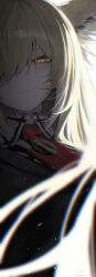  1girl absurdres animal_ear_fluff animal_ears arknights backlighting blonde_hair blurry blurry_foreground chromatic_aberration close-up closed_mouth collared_shirt depth_of_field glowing glowing_eyes hair_between_eyes hair_over_one_eye half-closed_eyes highres light_particles long_hair looking_at_viewer necktie orange_eyes ozeu0916 portrait red_necktie shirt signature simple_background solo upper_body vulpisfoglia_(arknights) white_background white_shirt wolf_ears 
