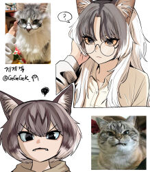  1other 2girls ? angry animal animal_ear_fluff animal_ears artist_name black-framed_eyewear black_eyes blue_sclera cat cat_ears cat_girl closed_mouth colored_sclera creature_and_personification cropped_torso curtained_hair double-parted_bangs expressionless fangs fangs_out gegegekman glasses grey_hair hand_in_another&#039;s_hair highres long_hair looking_at_viewer multicolored_hair multiple_girls original personification photo-referenced photo_inset reference_inset round_eyewear shirt short_hair simple_background spoken_question_mark squiggle twitter_username two-tone_hair v-shaped_eyebrows white_background white_hair white_shirt yellow_sclera 
