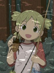  1girl absurdres beetle bug child commentary green_eyes green_hair highres holding insect koiwai_yotsuba looking_at_viewer open_mouth parisetya quad_tails raglan_sleeves red_sleeves shirt smile solo white_shirt yotsubato! 