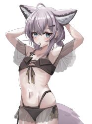  1girl absurdres ahoge animal_ears arknights arms_behind_head arms_up bikini black_bikini blue_eyes closed_mouth commentary_request cowboy_shot grey_hair hair_between_eyes hair_ornament hair_tie hair_tie_in_mouth hairclip highres lastmatch500 looking_at_viewer material_growth medium_hair mouth_hold navel official_alternate_costume oripathy_lesion_(arknights) partial_commentary simple_background solo standing sussurro_(arknights) sussurro_(summer_flower)_(arknights) swimsuit tail tying_hair white_background 