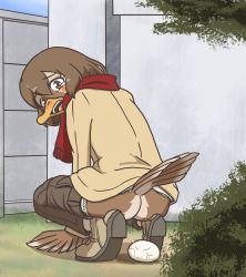  1girl arm_support ass beak beige_footwear beige_jacket bird_girl blue_sky blush_stickers brown_feathers brown_hair brown_pants building bush clothes_pull day egg egg_laying feathers fence furry grass hair_between_eyes jacket medium_hair open_mouth original outdoors pants pants_pull pussy_juice scarf shadow sky solo squatting starman_(artist) tearing_up tears tree underwear winged_arms wings  rating:Explicit score:19 user:Omo_Fan