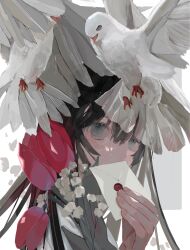  1girl 48_ichica absurdres bird black_hair covered_mouth flower grey_eyes hair_between_eyes highres holding holding_letter letter long_hair looking_at_viewer original red_flower solo upper_body white_bird white_flower 