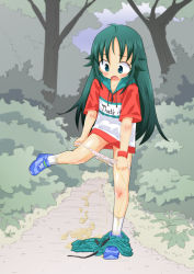 1girl ahoge blue_footwear blush bow bow_panties bush collarbone green_eyes green_hair heijitsu_(paapuu) highres idolmaster leg_up long_hair nanjo_hikaru one_leg_raised open_mouth outdoors panties panty_pull pee pee_trail peeing peeing_self puddle shorts shorts_around_one_leg unworn_shorts solo standing standing_on_one_leg sweater tearing_up tree underwear undressing wet wet_clothes wet_panties rating:Explicit score:48 user:akarin_akari