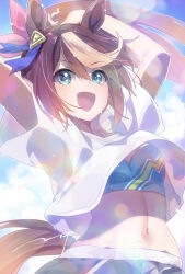  1girl :d animal_ears arms_up black_pants blue_eyes blue_sky blush breasts brown_hair cloud commentary_request day ech hair_between_eyes highres horse_ears horse_girl horse_tail long_hair multicolored_hair navel open_mouth outdoors pants ponytail shirt short_sleeves sky small_breasts smile solo streaked_hair sweat tail tokai_teio_(umamusume) umamusume upskirt very_long_hair white_shirt 