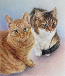  animal animal_focus cat colored_pencil_(medium) highres looking_at_viewer no_humans on_ground ooy33151086 original photorealistic realistic still_life traditional_media whiskers 