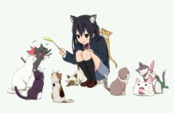 &gt;_&lt; +++ 1girl afterimage animal_ears annotated black_cat black_eyes black_hair black_jacket black_socks blazer blue_skirt brown_shoes calico cat cat_ears cat_teaser chimera_(chuu2koi) chuunibyou_demo_koi_ga_shitai! clannad collared_shirt commentary company_connection crossover dress_shirt fake_animal_ears free! grey_background highres holding jacket k-on! kanon kneehighs konsuke0 kyoto_animation kyoukai_no_kanata loafers long_hair looking_at_another lucky_star miniskirt multiple_crossover musaigen_no_phantom_world nakano_azusa neck_ribbon nichijou nyamou open_mouth piro pleated_skirt red_ribbon ribbon sakamoto_(nichijou) sakuragaoka_high_school_uniform school_uniform shadow shamisen_(suzumiya_haruhi) shima_katsuki shindou_ai shirt shoes skirt smile socks solo squatting suzumiya_haruhi_no_yuuutsu tokisadame_school_uniform white_shirt