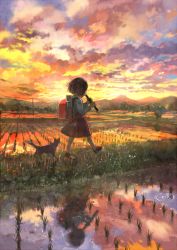  1girl backpack bag cat child cloud evening flute from_side full_body grass holding holding_flute holding_instrument instrument long_sleeves music original outdoors playing_instrument pon_(cielo) randoseru recorder reflection rice_paddy scenery school_uniform shirt short_hair skirt sky sunset walking water white_shirt wide_shot  rating:Sensitive score:8 user:danbooru