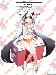  1girl absurdly_long_hair absurdres alternate_costume anger_vein angry animal_ears bare_legs bare_shoulders bikini black_hair blue_archive blue_halo blush carrot_print cooler cropped_shirt dot_nose flat_chest floppy_ears food_print frilled_shirt frills hair_between_eyes halo highres knees_together_feet_apart kokona_(blue_archive) loli long_hair multicolored_hair navel orange_bikini pout sandals shirt sitting sitting_on_object solo streaked_hair sweat swimsuit tsunderemaids very_long_hair white_sandals  rating:Sensitive score:3 user:danbooru