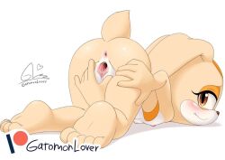  1girl 2024 20s animal_ears anus artist_name ass ass_focus bare_legs barefoot bent_over blush brown_eyes clitoris completely_nude cream_the_rabbit embarrassed eyelashes flat_chest from_behind full_body furry furry_female gatomonlover half-closed_eyes loli long_ears looking_at_viewer looking_back nipples nude presenting presenting_pussy pussy sega soles solo sonic_(series) spread_pussy tail toes uncensored urethra wavy_mouth white_background  rating:Explicit score:161 user:Kiwi_Kiwi