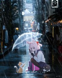  1boy 1girl 6+others absurdres animal_ear_fluff animal_ears black_gloves black_pants black_pantyhose black_shoes black_umbrella blue_archive blue_eyes blue_skirt blush cat cityscape closed_mouth fingerless_gloves fox_ears fox_girl gloves grey_jacket hair_ribbon highres holding holding_umbrella jacket looking_at_animal multiple_others niko_(blue_archive) pants pantyhose pink_hair rain real_life red_ribbon red_umbrella ribbon shoes short_hair skirt smile transparent transparent_umbrella umbrella zhuqugongfang 