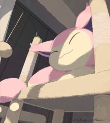  body_fur cat closed_eyes gen_3_pokemon indoors nintendo no_humans olyester photo-referenced pink_fur pokemon pokemon_(creature) skitty two-tone_fur yellow_fur 