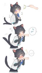  1boy ^^^ absurdres animal_ears averting_eyes black_bodysuit black_bridal_gauntlets black_hair black_shorts blue_cape blue_sleeves blunt_ends blush bodysuit bridal_gauntlets cape cat_boy cat_ears cat_tail clenched_hands closed_eyes closed_mouth disembodied_hand genshin_impact grabbing_another&#039;s_hand hands_up highres imminent_bite japanese_clothes kimono layered_sleeves looking_at_hand male_focus middle_ring nero_hanken open_clothes open_kimono purple_eyes scaramouche_(genshin_impact) sequential short_sleeves shorts tail tail_raised tail_wagging upper_body wanderer_(genshin_impact) white_background white_kimono white_sleeves wispy_bangs 