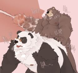 2boys anal animal_ears anus bara bear_boy bear_ears belly ben_bigger biceps closed_mouth commentary completely_nude cum cum_in_ass english_commentary erection fat fat_man furry furry_male heart looking_to_the_side male_focus multiple_boys navel nipples nude open_mouth pan_yinhu panda_boy panda_ears pectorals penis round_eyewear sex sound_effects tongue tongue_out tusskor yaoi zenless_zone_zero