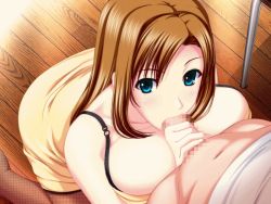 1boy 1girl animated animated_gif atelier_kaguya blue_eyes blush breast_press breasts brown_hair censored fellatio fishnets handjob hetero huge_breasts long_hair oral penis pov rating:Explicit score:174 user:Kanebou