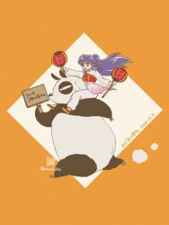 1girl chinese_clothes chui_(weapon) double_bun hair_bun hair_ornament long_hair monochrome ranma_1/2 saotome_genma shampoo_(ranma_1/2) sidelocks