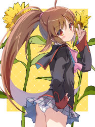  1girl :/ ahoge akayama_yukihe ass black_jacket blush_stickers border bow brown_hair closed_mouth commentary_request flower from_side frown grey_skirt hair_between_eyes hand_on_own_hip hand_up highres jacket little_busters! little_busters!_school_uniform long_hair looking_at_viewer miniskirt natsume_rin outside_border panties pantyshot pink_bow plaid_clothes plaid_skirt pleated_skirt ponytail red_eyes school_uniform sidelocks simple_background skirt sleeves_past_wrists solo sunflower underwear v v-shaped_eyebrows very_long_hair white_border white_panties wind wind_lift yellow_background 