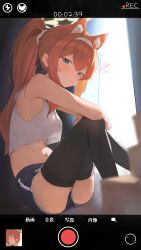  1girl absurdres animal_ear_fluff animal_ears bare_arms blue_archive blue_eyes blue_shorts breasts cat_ears commentary eiyuo extra_ears fake_phone_screenshot fake_screenshot from_side hair_between_eyes hairband halo highres knees_up long_hair looking_at_viewer mari_(blue_archive) navel orange_hair ponytail recording see-through_silhouette shorts sitting small_breasts solo sweat white_hairband yellow_halo 