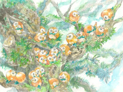 animal_focus bird black_eyes bright_pupils gen_7_pokemon head_tilt in_tree leaf looking_back nintendo no._017 no_humans one_eye_closed open_mouth outdoors owl painting_(medium) pokemon pokemon_(creature) preening rowlet traditional_media tree watercolor_(medium) white_pupils