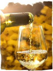  absurdres blurry blurry_background bokeh bottle close-up commentary_request cup depth_of_field drink drinking_glass food food_focus glass highres leaf no_humans original outdoors pouring scenery smile_(qd4nsvik) wine_bottle wine_glass 