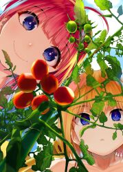  2girls ahoge bare_shoulders blue_eyes blue_sky bright_pupils closed_mouth commentary_request cover_image highres looking_at_viewer multiple_girls orange_hair parted_lips plant red_hair short_hair siblings sisters sky smile sprinkler tomato vegetable_garden_of_twins white_pupils yumeno_tanuki 