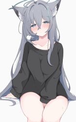  1girl absurdres ahoge alternate_costume animal_ear_fluff animal_ears aqua_eyes arm_at_side bare_legs between_legs black_halo black_sweater blue_archive blush broken_halo casual closed_mouth collarbone commentary_request cowboy_shot cross_hair_ornament crossed_bangs extra_ears feet_out_of_frame frown grey_hair hair_between_eyes hair_intakes hair_ornament halo hand_between_legs highres huge_ahoge invisible_chair long_hair long_sleeves looking_at_viewer mismatched_pupils no_pants nui_(nuinui0300) puff_of_air shiroko_(blue_archive) shiroko_terror_(blue_archive) simple_background sitting sleeves_past_wrists slit_pupils solo straight_hair sweat sweater thighs variant_set very_long_hair white_background wolf_ears wolf_girl 
