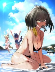  3girls absurdres animal animal_ears arms_up barefoot bikini black_bikini blonde_hair blue_hair blue_one-piece_swimsuit breasts brown_hair cleavage collarbone common_raccoon_(kemono_friends) day fennec_(kemono_friends) fish fox_ears fox_girl fox_tail front-tie_bikini_top front-tie_top full_body green_eyes grey_hair hair_between_eyes halterneck hat highres innertube kemono_friends leaning_forward long_hair looking_at_another lucky_beast_(kemono_friends) medium_breasts medium_hair micro_bikini mouth_hold multicolored_hair multiple_girls no_tail no_wings ocean one-piece_swimsuit one_eye_closed outdoors outstretched_arms raccoon_ears raccoon_girl raccoon_tail raigyo_(mk48torpedo) running shoebill_(kemono_friends) sidelocks sitting sky smile solo_focus splashing stomach strap_gap straw_hat sunlight swim_ring swimsuit tail wariza water wet wet_face yellow_bikini  rating:Sensitive score:76 user:danbooru