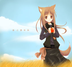  00s 1girl animal_ears apple female_focus food fruit holding holding_food holding_fruit holo kayune_niu solo spice_and_wolf tail wolf_ears wolf_tail  rating:Sensitive score:3 user:danbooru