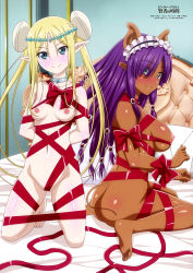 2girls absurdres animal_ears ass bdsm blonde_hair blue_eyes bondage bound breasts dark-skinned_female dark_skin elf feet green_eyes highres hiyama_daisuke ishige_rui large_breasts light_areolae looking_at_viewer megami_magazine multiple_girls naked_ribbon nipples official_art peter_grill_to_kenja_no_jikan piglette_pancetta pointy_ears purple_hair ribbon small_breasts tail vegan_eldriel rating:Explicit score:107 user:danbooru