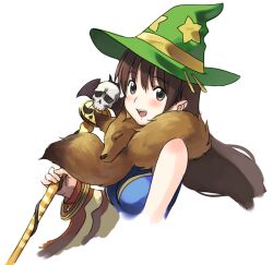  1girl alternate_color animal animal_around_neck blue_shirt blush breasts brown_eyes brown_hair commentary_request cropped_torso fox green_hat hat holding holding_staff long_hair looking_at_viewer medium_breasts meranie open_mouth print_hat professor_(ragnarok_online) ragnarok_online shirt simple_background skull sleeveless sleeveless_shirt smile solo staff star_(symbol) star_print upper_body white_background witch_hat 