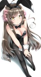 1girl ahoge animal_ears axis_powers_hetalia black_footwear black_hairband black_leotard black_pantyhose bow bowtie breasts brown_hair commentary_request detached_collar fake_animal_ears female_focus flower foreshortening frilled_cuffs hair_flower hair_ornament hairband high_heels highres kyusai_kuma leotard long_hair looking_at_viewer pantyhose playboy_bunny rabbit_ears sitting solo taiwan_(hetalia) torn_hair_ribbon very_long_hair wrist_cuffs yellow_eyes  rating:Sensitive score:6 user:danbooru