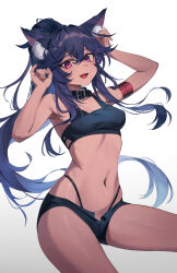  1girl absurdres animal_ear_fluff animal_ears armpits arms_up bare_arms bare_shoulders black_choker black_hair black_shirt black_shorts breasts brown_kemomimi-chan_(krr) choker commission crop_top dark-skinned_female dark_skin di_le_to dungeon_and_fighter fang highleg highres long_hair looking_at_viewer medium_breasts micro_shorts midriff navel open_fly open_mouth original panty_straps pink_eyes ponytail shirt shorts simple_background sleeveless sleeveless_shirt smile solo stomach thighs very_long_hair white_background wolf_ears 