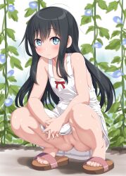 1girl asashio_(kancolle) bare_shoulders black_hair blue_eyes blush censored commentary_request dd_(ijigendd) dress flat_chest flower full_body highres interlocked_fingers kantai_collection loli looking_at_viewer mosaic_censoring no_panties own_hands_together pussy sandals solo spread_legs squatting sundress toes upskirt white_dress rating:Explicit score:88 user:danbooru