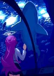  1girl alternate_hair_color aquarium aquarium_tunnel blue_archive caustics facing_away fish from_behind hair_flaps halo highres hoshino_(blue_archive) karmanimaxwx long_hair long_sleeves pleated_skirt purple_hair school_of_fish shark shirt skirt solo very_long_hair white_halo white_shirt 