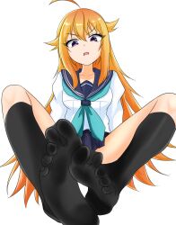  1girl annoyed antenna_hair black_socks blonde_hair blue_neckerchief blue_sailor_collar blue_skirt breasts dot_nose female_focus foot_focus from_below knees_up koshi_torako long_hair looking_at_viewer looking_down medium_breasts neckerchief open_mouth purple_eyes sailor_collar saratto_2zyo school_uniform shikanoko_nokonoko_koshitantan shirt simple_background sitting skirt socks solo spread_legs toes variant_set white_background white_shirt  rating:Sensitive score:2 user:Only_Kemonomimi
