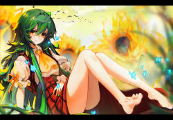 1girl absurdres ahoge ascot ass bare_legs barefoot bird blush bug butterfly closed_mouth cloud commentary day fingernails flock flower green_hair green_nails hair_between_eyes highres insect kazami_yuuka legs long_hair looking_at_viewer mei_gushi_de_shen_yue nail_polish outdoors plaid_clothes plaid_skirt plaid_vest plant puffy_short_sleeves puffy_sleeves red_eyes red_skirt red_vest shirt short_sleeves sitting skirt skirt_set smile solo sunflower symbol-only_commentary toenail_polish toenails touhou very_long_hair vest vines white_nails white_shirt yellow_ascot rating:Sensitive score:20 user:danbooru