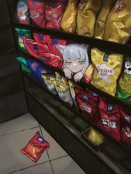 1girl :3 absurdres animal_ear_fluff animal_ears bag bag_of_chips cat_ears cat_girl chips_(food) eyelashes food green_eyes grey_hair half-closed_eyes highres indoors long_hair looking_at_viewer original popcorn shop smug solo tile_floor tiles vertigris rating:Sensitive score:37 user:danbooru