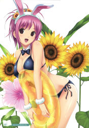 10s 1girl absurdres animal_ears bikini black_bikini bow bowtie breast_press breasts covered_erect_nipples female_focus flower hair_flower hair_ornament highres hinata_hanabi innertube koutaro open_mouth original page_number pink_eyes pink_hair rabbit_ears side-tie_bikini_bottom smile solo sunflower swim_ring swimsuit tropical_kiss wristband rating:Questionable score:32 user:danbooru