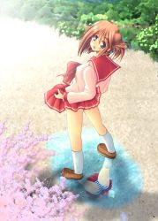 00s 1girl blue_eyes cherry_blossoms female_focus folded_ponytail komaki_manaka looking_back panties pantyshot pantyshot_through_reflection puddle red_skirt reflection school_uniform serafuku skirt socks solo striped_clothes striped_panties to_heart_(series) to_heart_2 underwear upskirt white_socks rating:Questionable score:4 user:danbooru