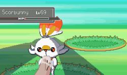  animated animated_gif fellatio froll_(artist) gen_8_pokemon irrumatio nintendo oral pixel_art pokemon scorbunny self-upload uncensored  rating:Explicit score:35 user:Froll