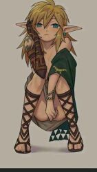  1boy artist_request covering_privates kokekokeimo link lowres nintendo squatting tagme the_legend_of_zelda the_legend_of_zelda:_tears_of_the_kingdom  rating:Questionable score:10 user:TWOLFOT